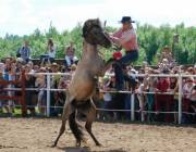 ,  . Wild Western Festival -  